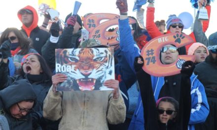 Fans take pride in Tiger’s state football efforts