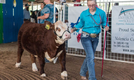 2020 Valencia County Fair Livestock Show