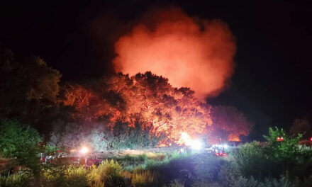 Late night fire scorches five acres of bosque in Los Chavez
