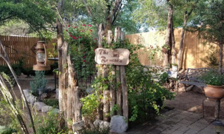 Los Lunas ‘Yard of the Week’ is a hidden oasis