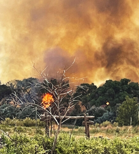Flames could be seen from N.M. 304 in the bosque east of the Rio Grande on Saturday afternoon as the Cemetery Fire moved north through the trees.