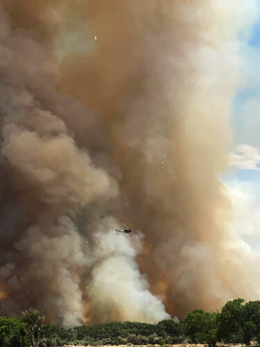 West of the Rio Grande on Jarales Road, Jackie Gonzales captured a helicopter fighting the Cemetery Fire in its early stages around 2 p.m., Saturday, June 12. The fire started on the east side of the river, jumped to the west side then moved north, burning 319 acres.