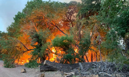 Arrest made in Los Lunas bosque fire on Tuesday