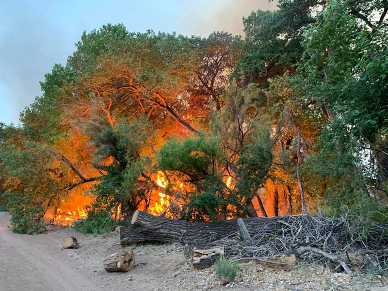 The Barnard Fire burned nearly 7 acres Tuesday evening in the bosque north of the Los Lunas river bridge. A local man has been charged with one count of arson and is in custody.