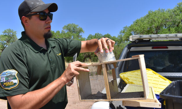 Los Lunas Open Space investing in the future with pollinators