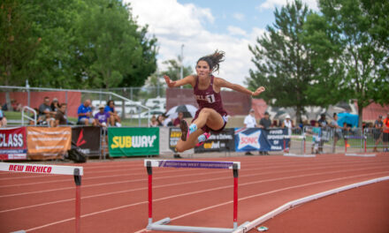 Season concludes at state track and field
