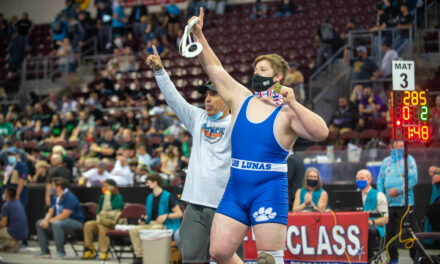 Avila, Wood and Doyle win state championships