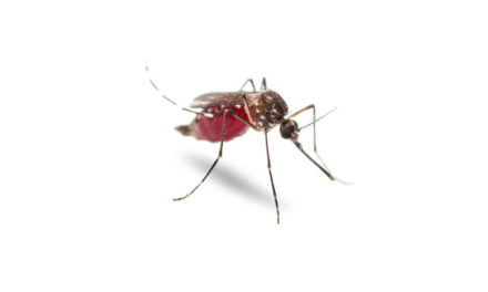 West Nile Virus case in Valencia County and other areas around the state