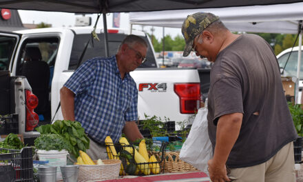 LOCAL FARMERS MARKETS: Area producers sell their fruits, vegetables and more at the  various markets