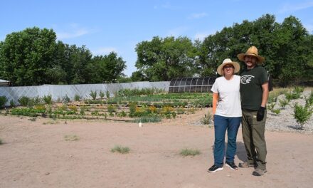 Cowboy Country: Rocket Punch Farm; regenerative & ecological-based agriculture