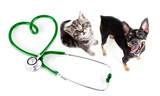 Pet Health Fair to offer free services in county