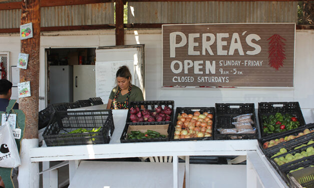 Perea Farms: 50 Years in Business & Chile Seasons