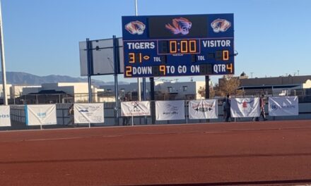 Tigers ground Eagles; LLHS moving on to state semifinals
