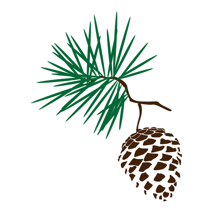Vector illustration pinecone branch silhoutte icon. Pine cone wood nature