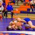 Tiger wrestlers outlast Eagles at the District Duals meet