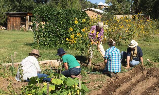 NMSU Extension to offer beginning gardeners course