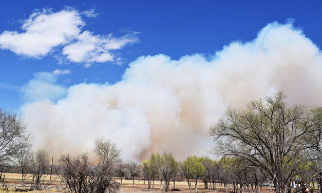 Big Hole Fire at 40 percent containment; all river access closed between Los Lunas and Belen
