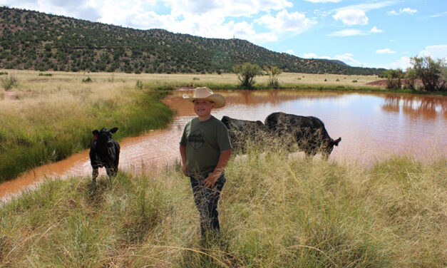 Tripp Gibson: Fifth-generation rancher
