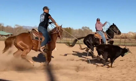 Shine up the spurs! The Valencia County Rodeo Team is ready to ride