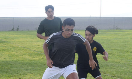 Boys soccer season opens with optimism for county teams
