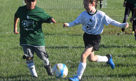 Fall futbol: Youth soccer scores big with kids, parents