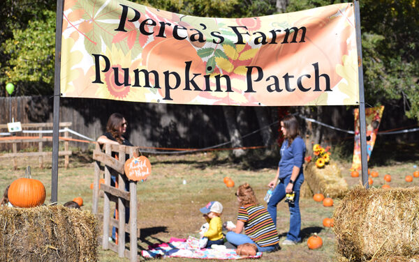 PHOTOS: Perea’s Farm Pumpkin Patch