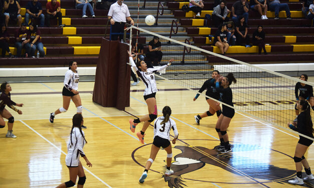 Local volleyball teams look to reset for district action