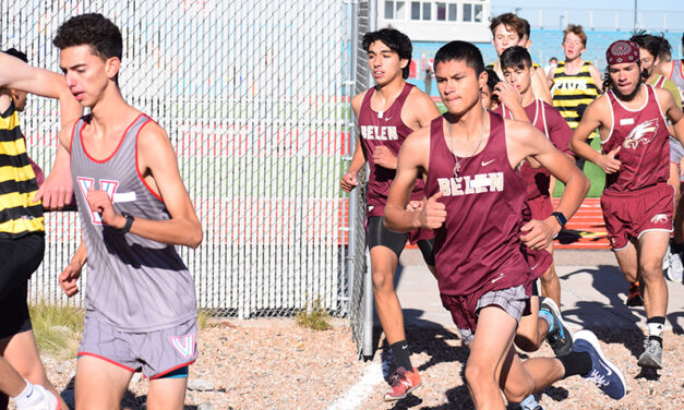 Local cross country runners reach state meet