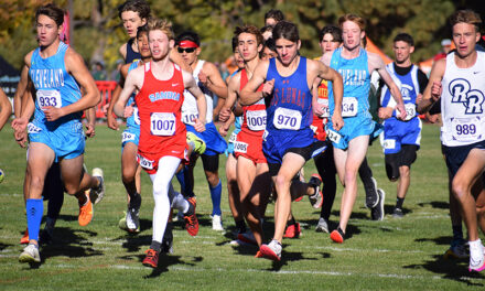 County runners compete at state meet