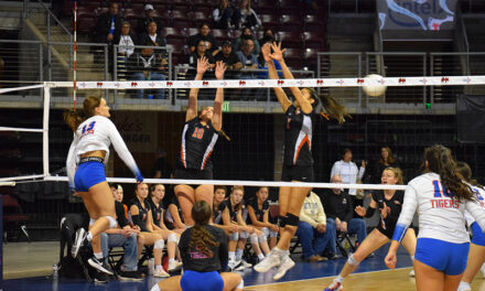 Los Lunas Tigers come up short at state volleyball