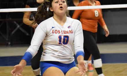 Mendoza earns All-State volleyball recognition