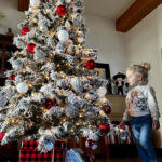 COMMUNITY PHOTOS: Christmas decorations around Valencia County