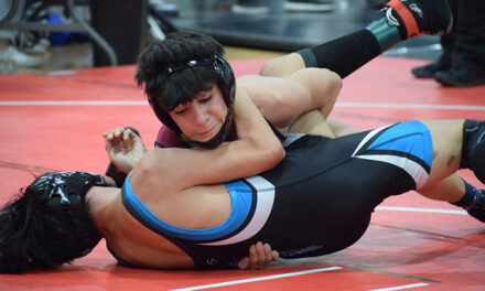 County wrestlers advance to state meet