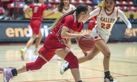Lady Jaguars lose, 60-37, in state tourney