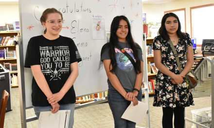 Los Lunas library announces winners of teen artbook contest