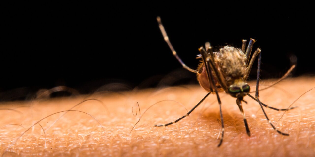 Increase in reports of West Nile virus in Valencia County