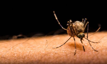 Increase in reports of West Nile virus in Valencia County