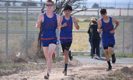 Runners tested in cross country scrimmage