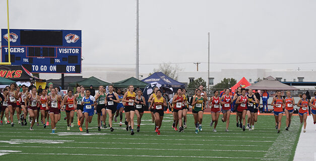 Los Lunas to host Red vs. Green cross country meet