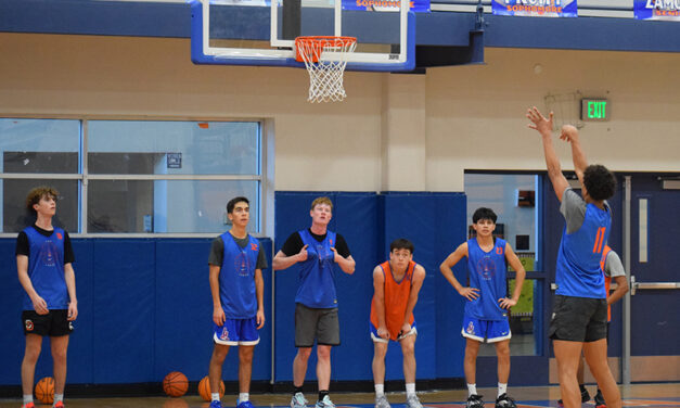 Prep Basketball Previews  Boys: Filling the gaps