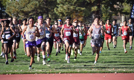 Young runners shine at state cross country meet