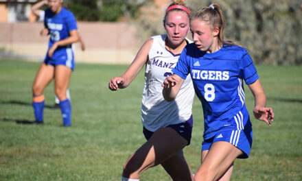 Tiger girls grab all-state soccer honors