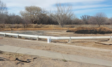 Clean-up continues at Bosque Farms wastewater treatment plant