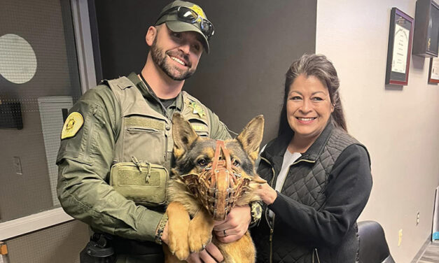 Bosque Farms K9, handler find new home with VCSO