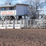 Bosque Farms Rodeo Association ropes in Baca Rodeo