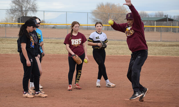 Local high school softball teams feature new coaches, youth