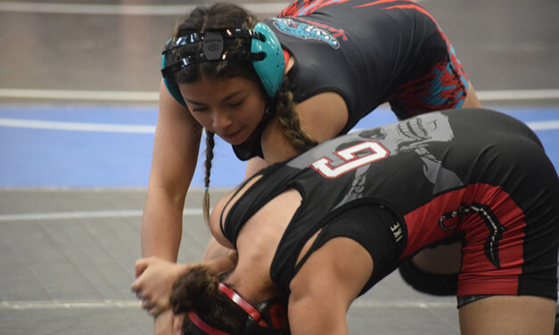 Grappling girls heading to state